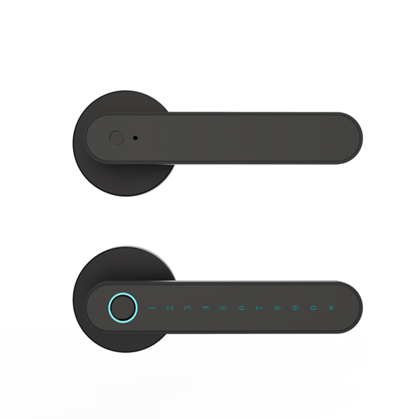 LD SMART Tuya Smart Lock Phone APP Control Fingerprint Electronic Remote Code Hotel Apartment Home Smart Door