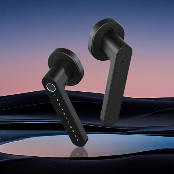 LD SMART Tuya Smart Lock Phone APP Control Fingerprint Electronic Remote Code Hotel Apartment Home Smart Door - 图片 3