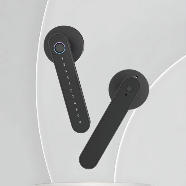 LD SMART Tuya Smart Lock Phone APP Control Fingerprint Electronic Remote Code Hotel Apartment Home Smart Door - 图片 3