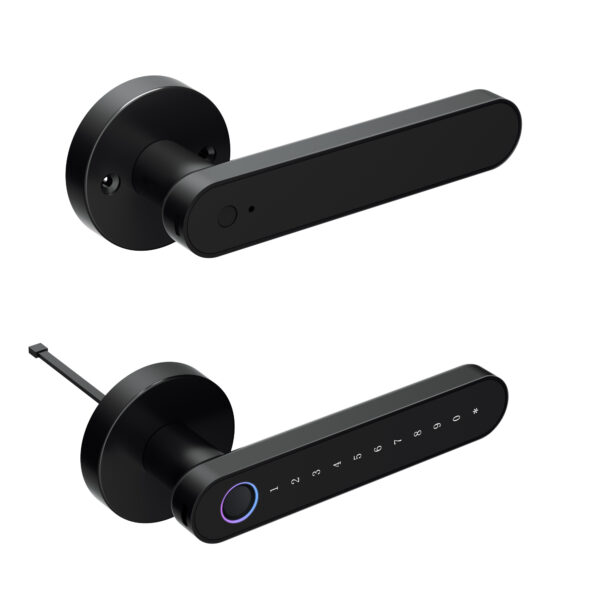 LD SMART Tuya Smart Lock Phone APP Control Fingerprint Electronic Remote Code Hotel Apartment Home Smart Door - 图片 2