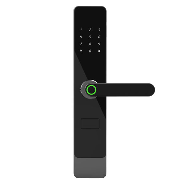 LD SMART Smart Lock Factory Wholesale Remote Control Lock Nfc Card Digital Password Tuya App Waterproof Fingerprint