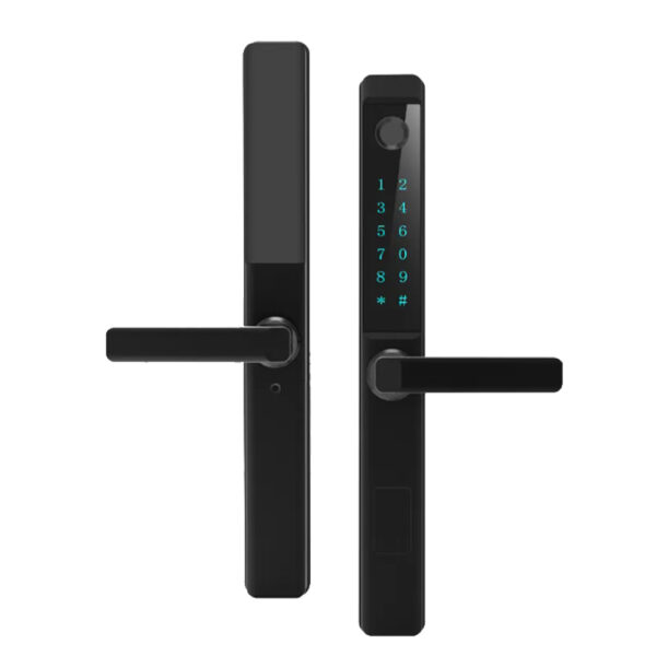 Serrure de porte intelligente LD Tuya APP TTLOCK BLE, serrure de porte électrique étanche, serrure intelligente haute sécurité, serrure à empreinte digitale