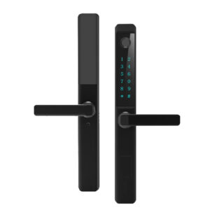 LD SMART Tuya APP TTLOCK BLE Door Lock Waterproof Cerradura Inteligente High Security Electric Door Lock Fingerprint Lock