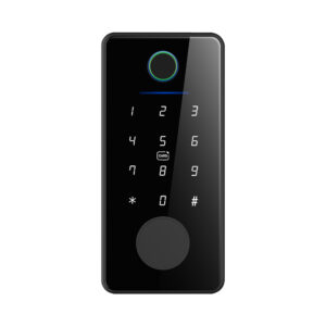LD SMART Tuya Smart Lock Phone APP Control Fingerprint Electronic Remote Code Hotel Apartment Home Smart Door Lock Keybox