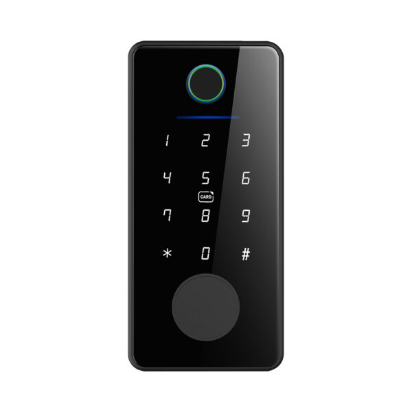 LD SMART Tuya Smart Lock Phone APP Control Fingerprint Electronic Remote Code Hotel Apartment Home Smart Door Lock Keybox