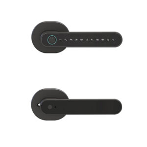 LD SMART Tuya Smart Lock Phone APP Control Fingerprint Electronic Remote Code Hotel Apartment Home Smart Door