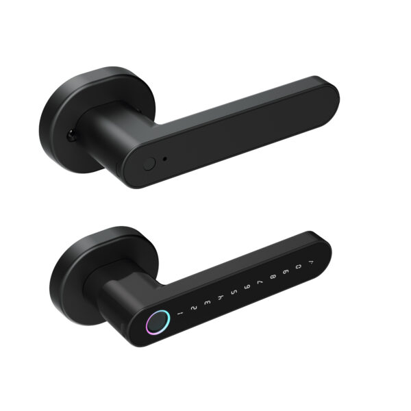 LD SMART Tuya Smart Lock Phone APP Control Fingerprint Electronic Remote Code Hotel Apartment Home Smart Door - 图片 2